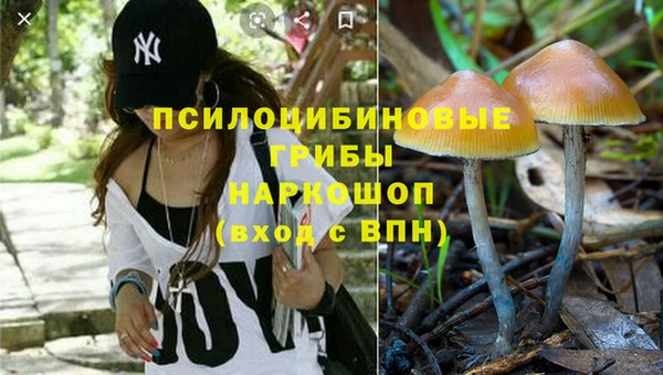 альфа пвп Карпинск