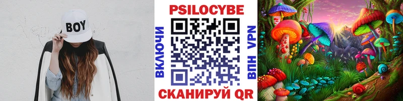 Псилоцибиновые грибы Cubensis  цены   Невьянск 